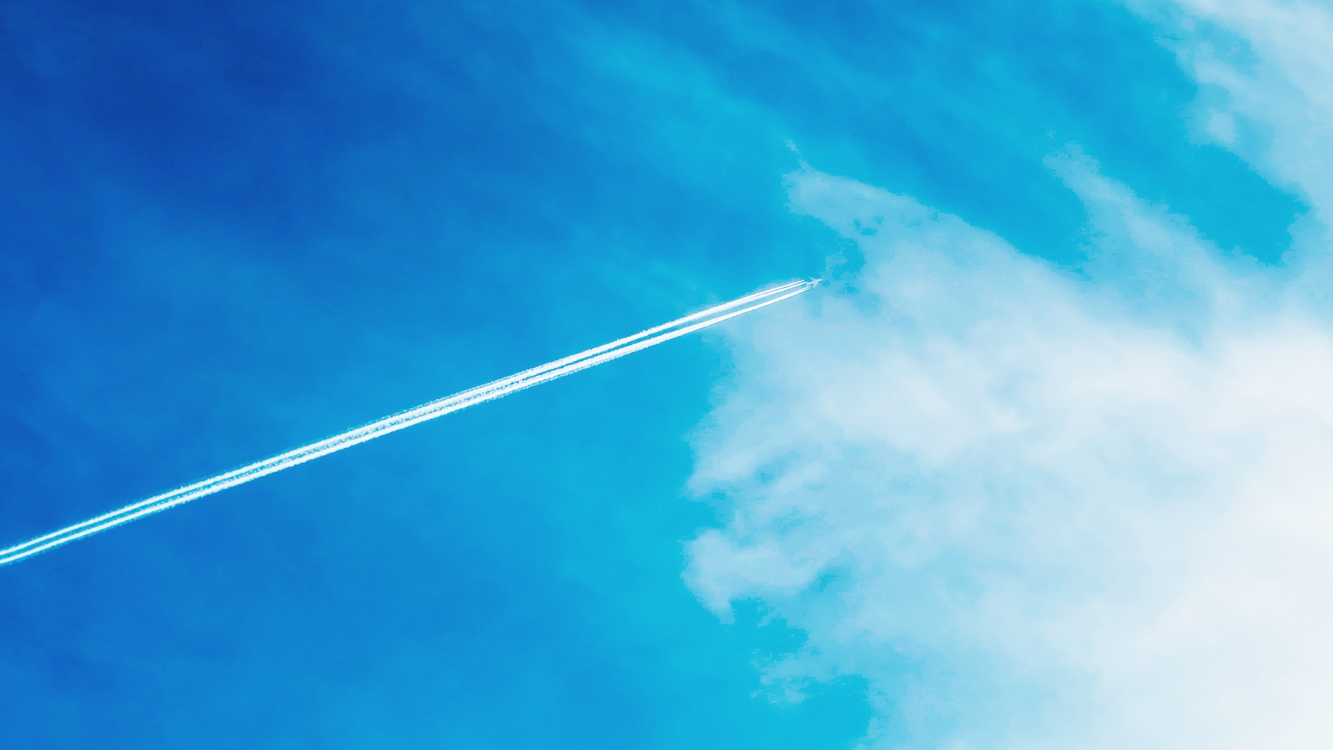 みんなの+αに Flying High Works