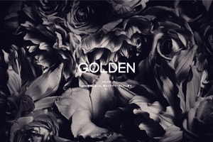 GOLDEN 様  	サイトリニューアル