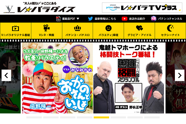 （株）ヒューマックスエンタテインメント 様 「V☆パラダイス」サイトリニューアル
