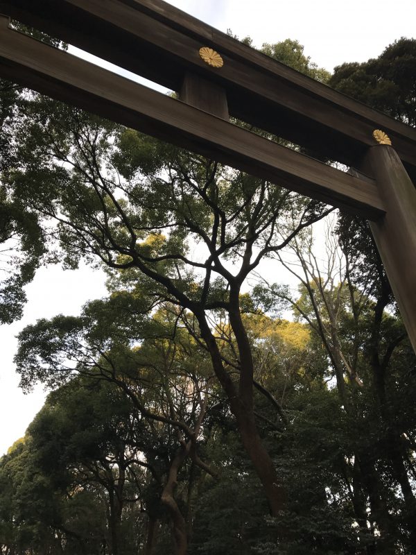 【社内行事】明治神宮に初詣＋祈祷＋新年会＋αレポート