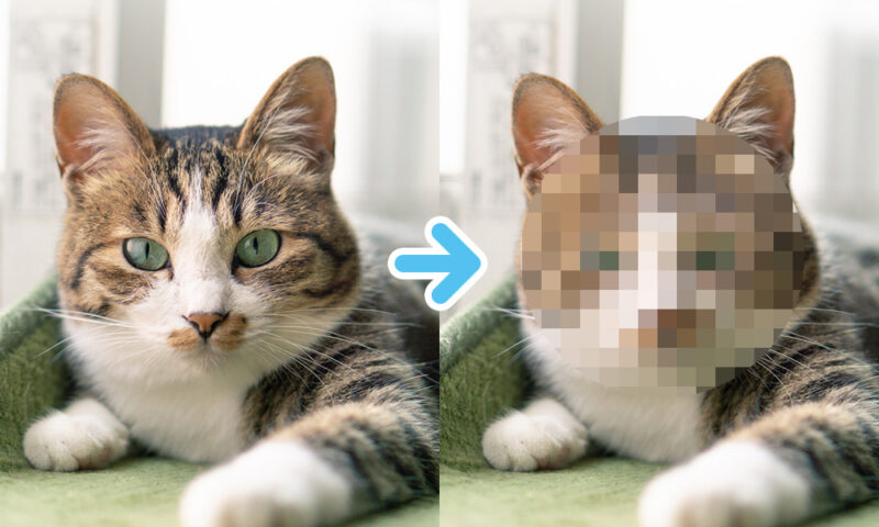 Photoshop機能パペットワープを使ってみた