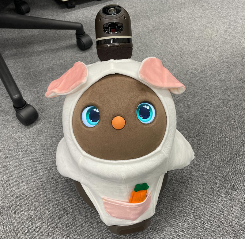 フライが帰ってきた！